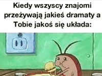 Nie wiem co oni czują...