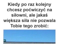 No nie mogę się sprzeciwiać