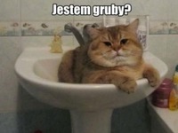 Jestem puszysty ;D