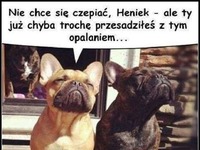 Chyba przesadził