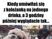 Tak to się kończy