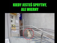 Kiedy jesteś sprytny