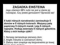 Zagadka Einsteina, którą rozwiązuje tylko 2% LUDZI! Sprawdź się!