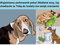 Wyjaśniamy zachowanie psów! Maślane oczy czy chodzenie za Tobą do toalety ma swoje znaczenie!