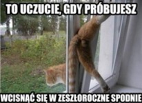 Zeszłoroczne spodnie