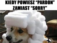 No dokładnie