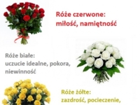 Zobacz co oznacza kolor kwiatów, jakie daje Ci twój chłopak, mąż, kochanek... ;)