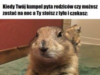 I ta myśl, że Ciebie tu chyba nie powinno być