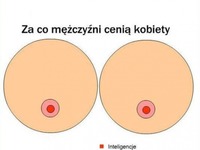 Za co mężczyźni cenią kobiety, haha