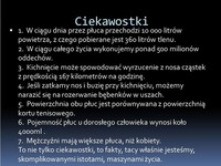 Ciekawostki o ludzkim ciele. Jesteśmy skomplikowanymi istotami...