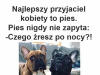 Najlepszy przyjaciel kobiety