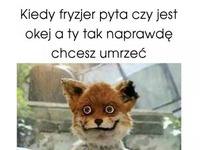 Wizyta u fryzjera