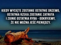 Kiedy wycięte zostanie ostatnie drzewo...