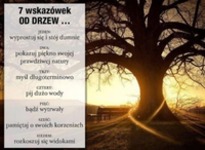 Bądź jak drzewo!