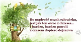 Mądrość