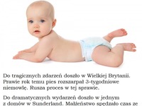 3-tygodniowe niemowlę bawi się z tatą na dywanie. Chwila nieuwagi i pies robi coś wstrząsającego