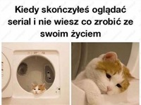 Może oglądnę jeszcze raz?