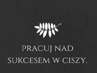 Pracuj nad sukcesem w ciszy.