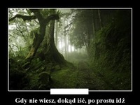 Gdy nie wiesz, dokąd iść