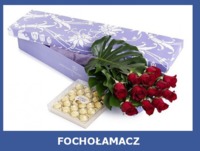 Fochołamacz