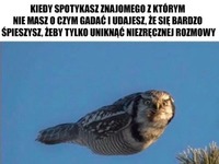 Kiedy spotykasz znajomego