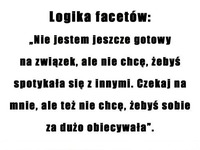 Logika facetów