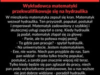 Wykładowca matematyki przekwalifikowuje się na hydraulika :D