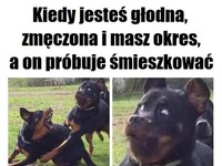 Kiedy jesteś głodna