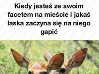 On jest zajęty!