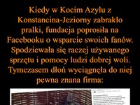 Taki marketing to ja popieram! Pewna znana firma wsparła Fundację "Koci Azyl"