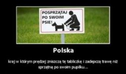 Polska...