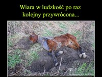 Wiara w ludzkość po raz kolejny przywrócona...