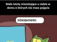 Małe istoty mieszkające u ciebie w domu, o których nie masz pojęcia!