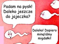 Zobacz dlaczego PLEMNIKI mają dziś trudno! Dobre