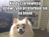 Dokładnie!