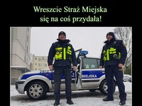 Wreszcie Straż Miejska się na coś przydała ;)