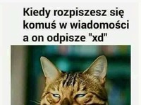 Kiedy rozpiszesz się...