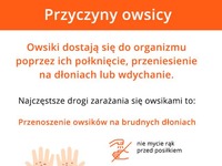 Przyczyny owsicy. Zobacz jak uchronić od tego swoje dzieci i samego siebie!