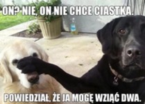 Tylko wstydzi się powiedzieć ;)