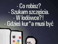 Szukam szczęścia....