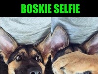 Boskie selfie!