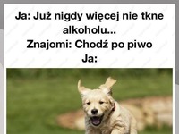 Nigdy więcej!