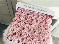 Venus-fleur