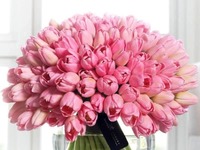 Cudowny  bukiet tulipanów