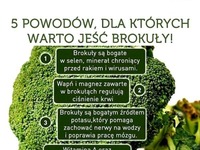 5 powodów, dla których WARTO jeść brokuły + PRZEPIS na pyszną sałatkę z brokułem i fetą ;)