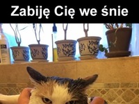 Zabiję Cię