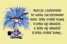 Zaczarowane koło