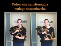 Półroczna transformacja małego szczeniaczka ;)