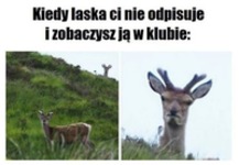 Kiedy laska Ci nie odpisuje