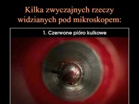 Kilka zwyczajnych rzeczy widzianych pod mikroskopem. NIESAMOWITE!